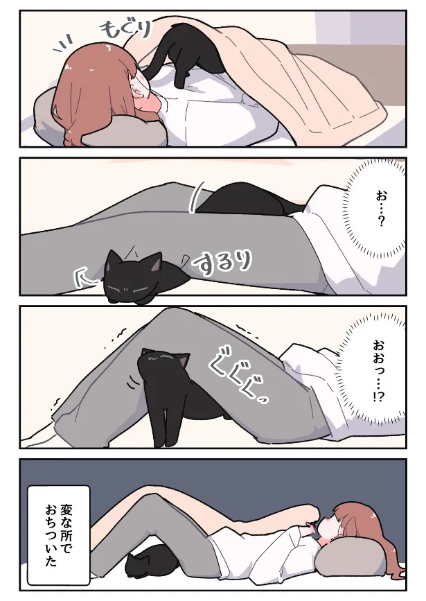 『黒猫たちと一緒に寝る話』(2／6)