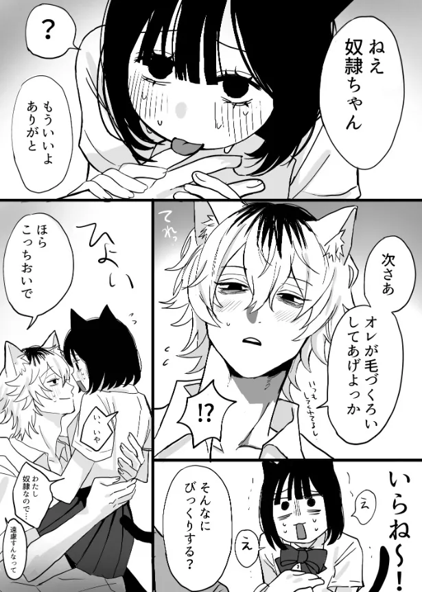 『不良猫くんと黒猫ちゃん2』(1／2)