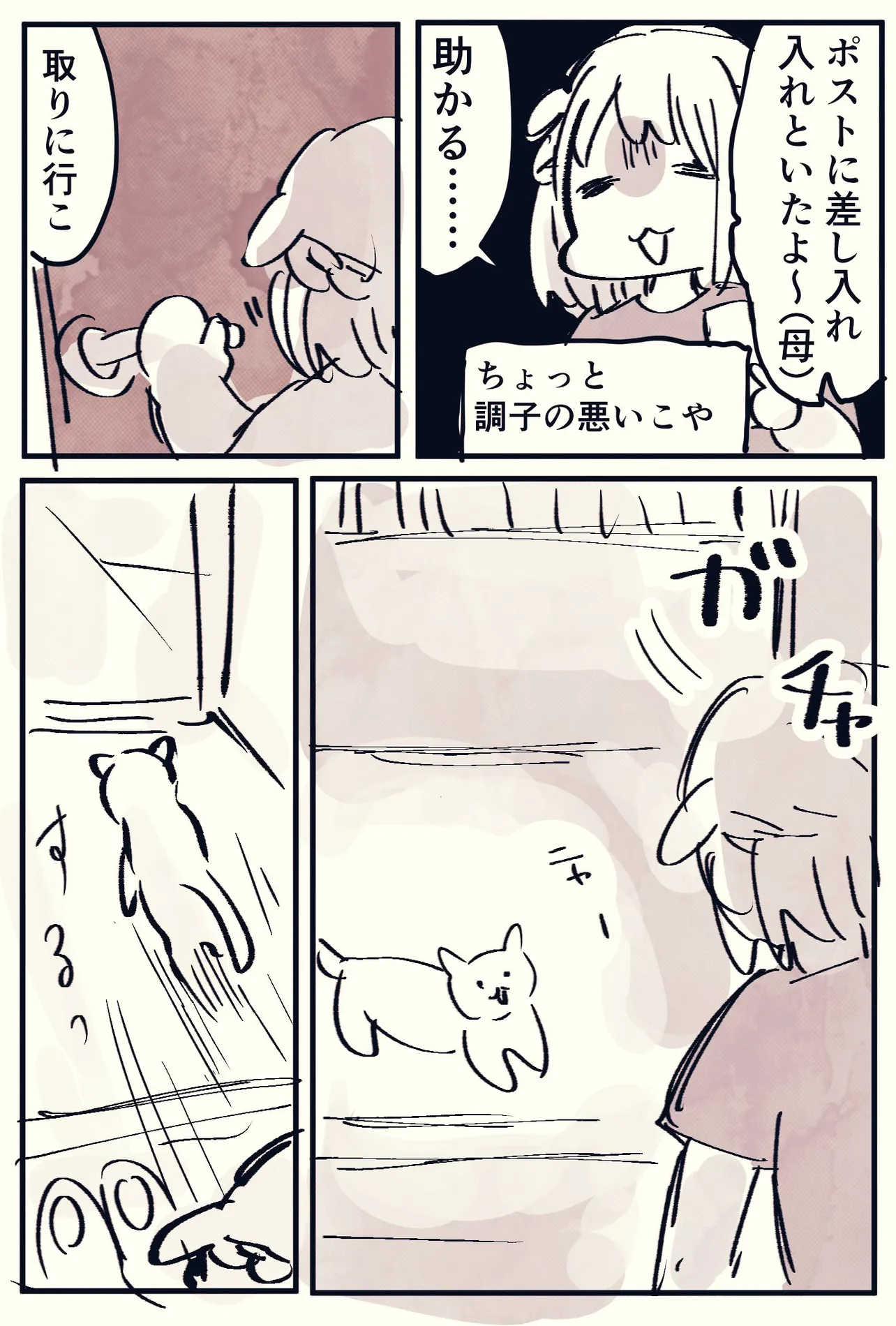 『知らん猫が家入ってきた』(1/5)