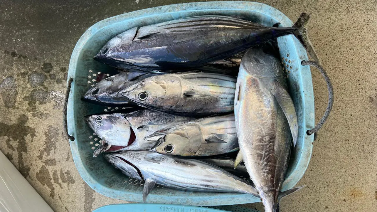 「鈴木拓とマルコスの釣りわっしょい！」