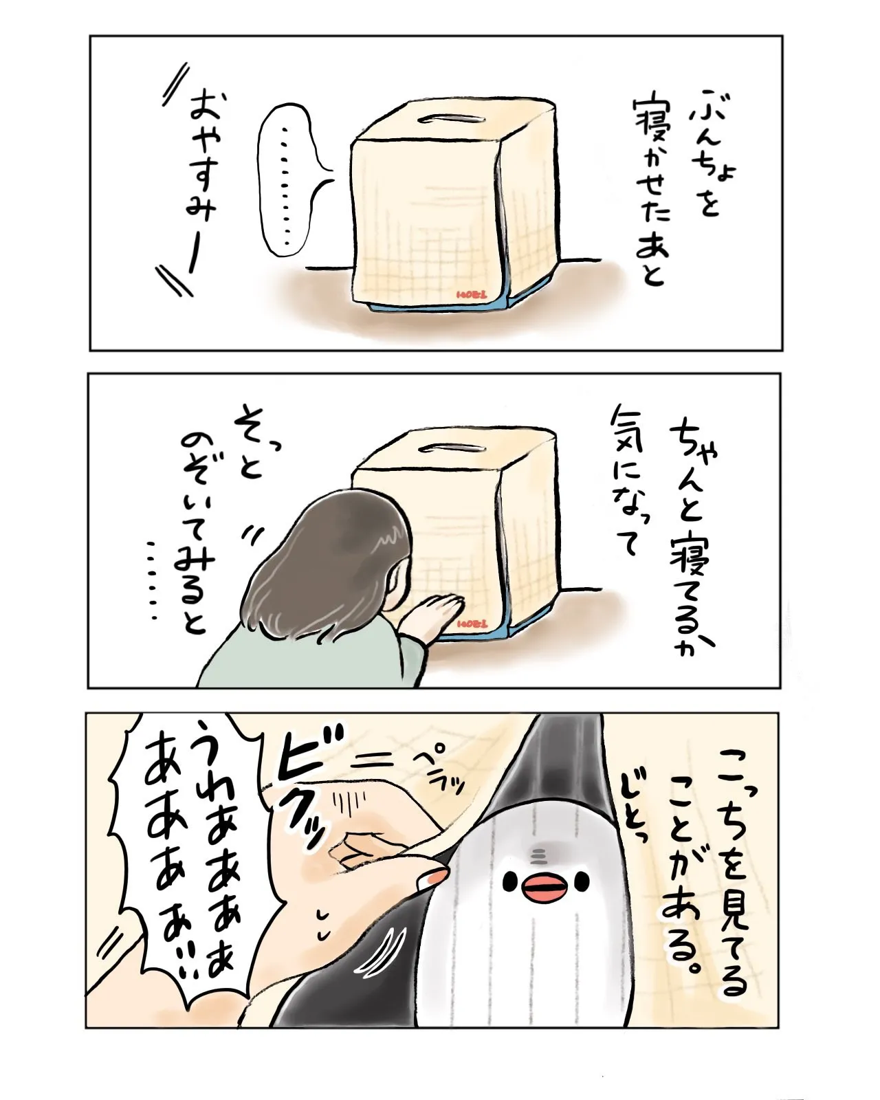 ぶんちょは見ている