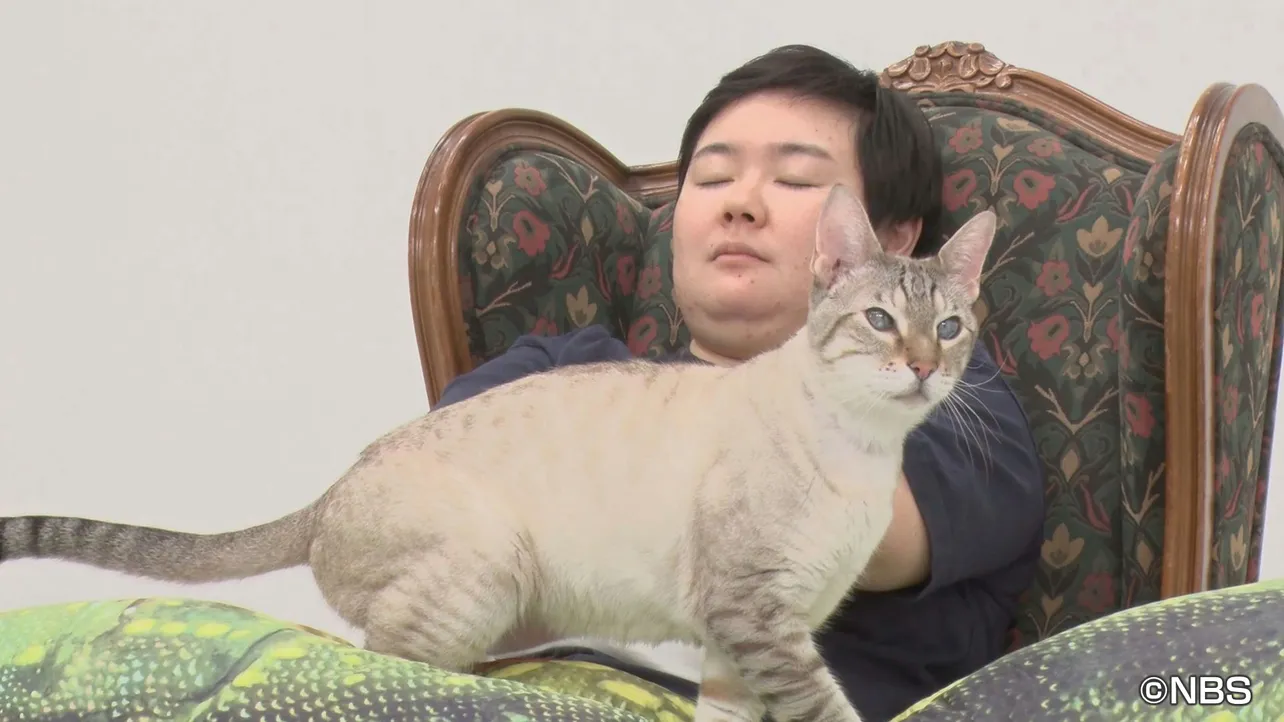 妄想するやす子と愛猫・アビシ