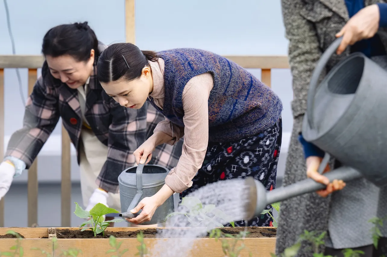 実際の端島でも行われていた屋上緑化に従事する朝子(杉咲花)