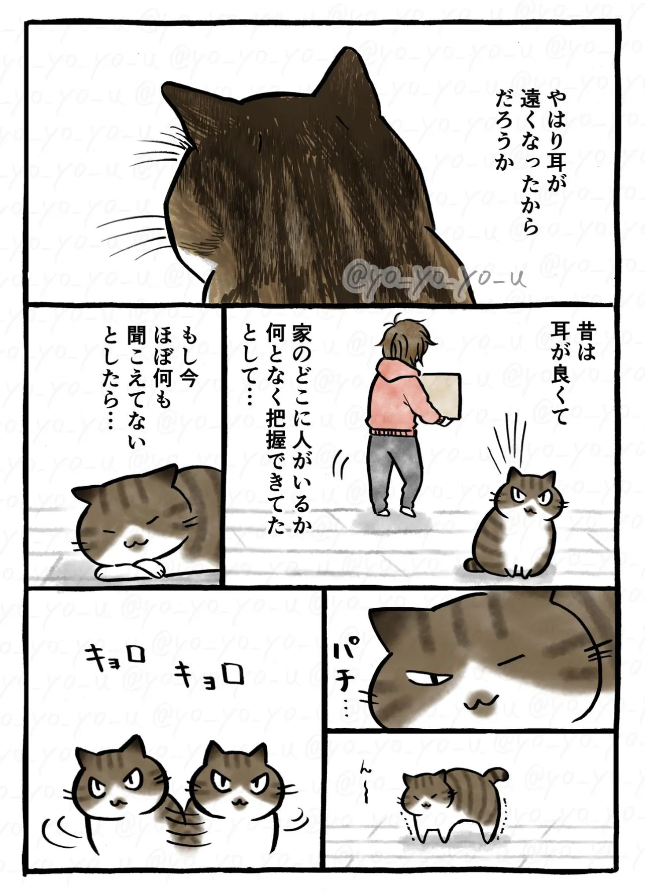 『老猫が大声で鳴く理由』より