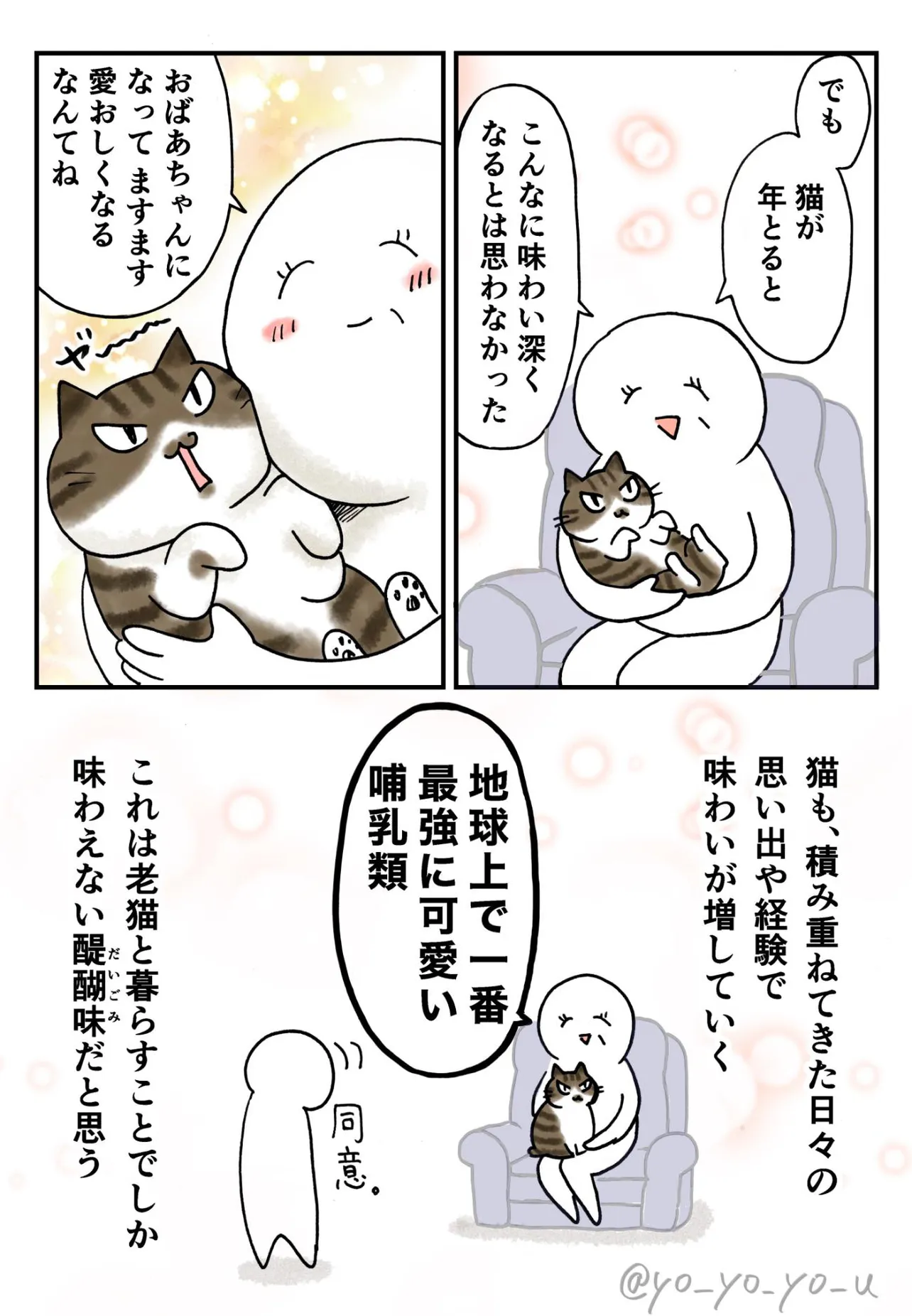 『老猫と母』(3／3)