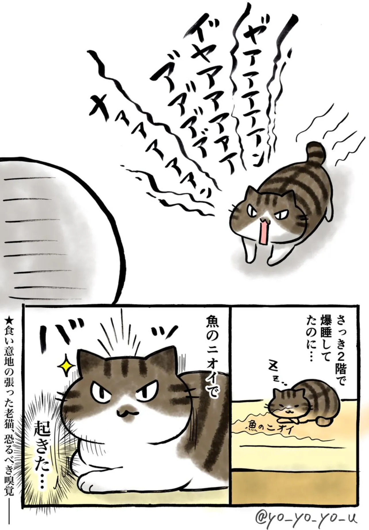 『老猫の長生きの秘訣』(2／4)