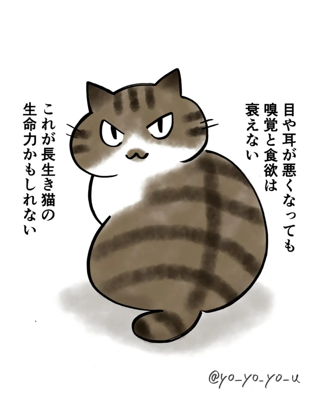 『老猫の長生きの秘訣』(4／4)