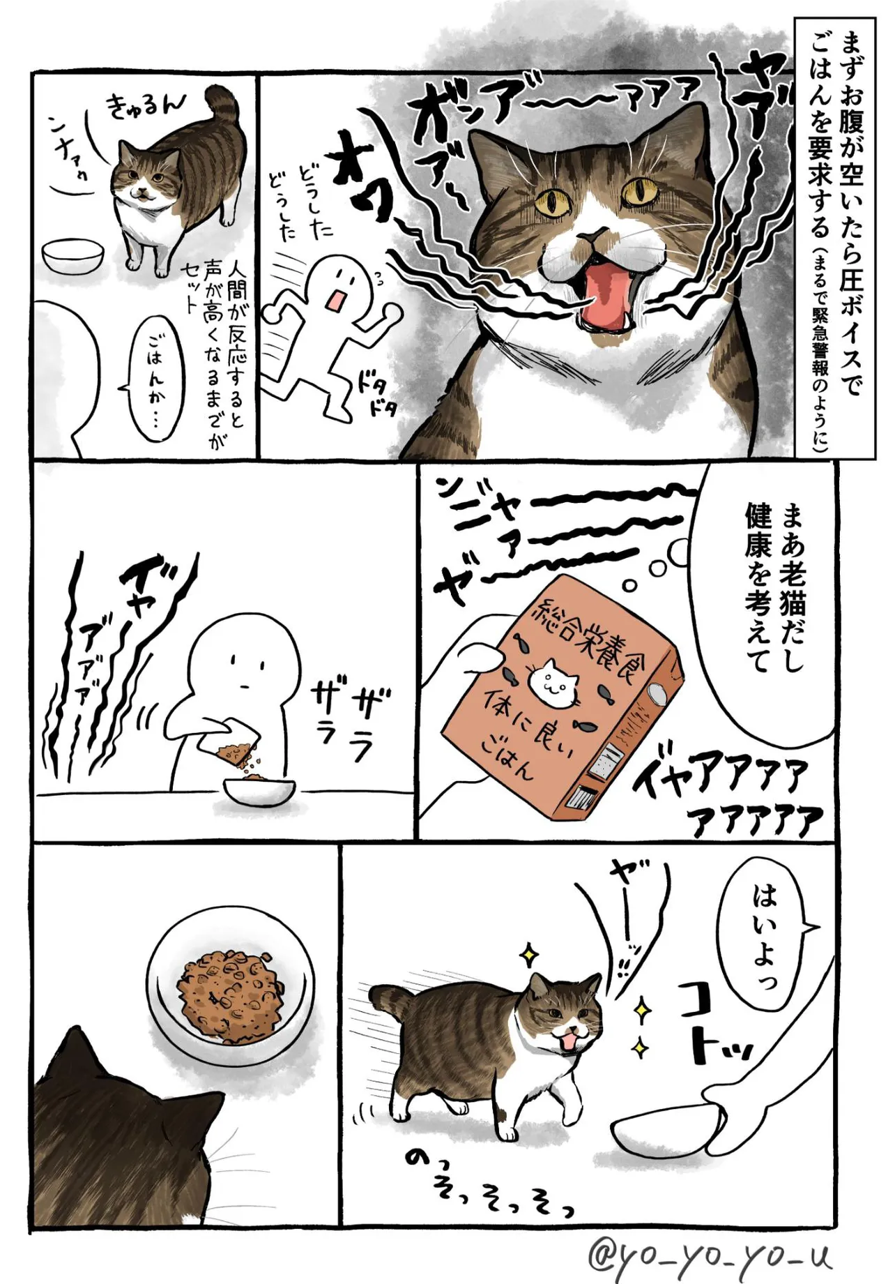 『グルメな老猫』(2／4)