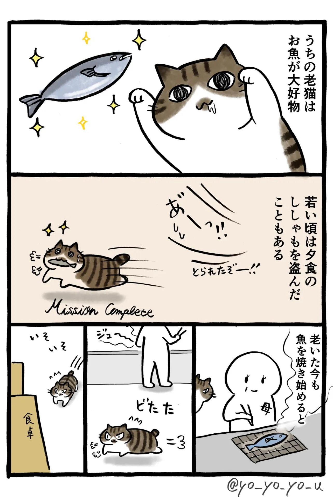 『ヨボヨボな老猫がアクティブになる瞬間』(1／4)