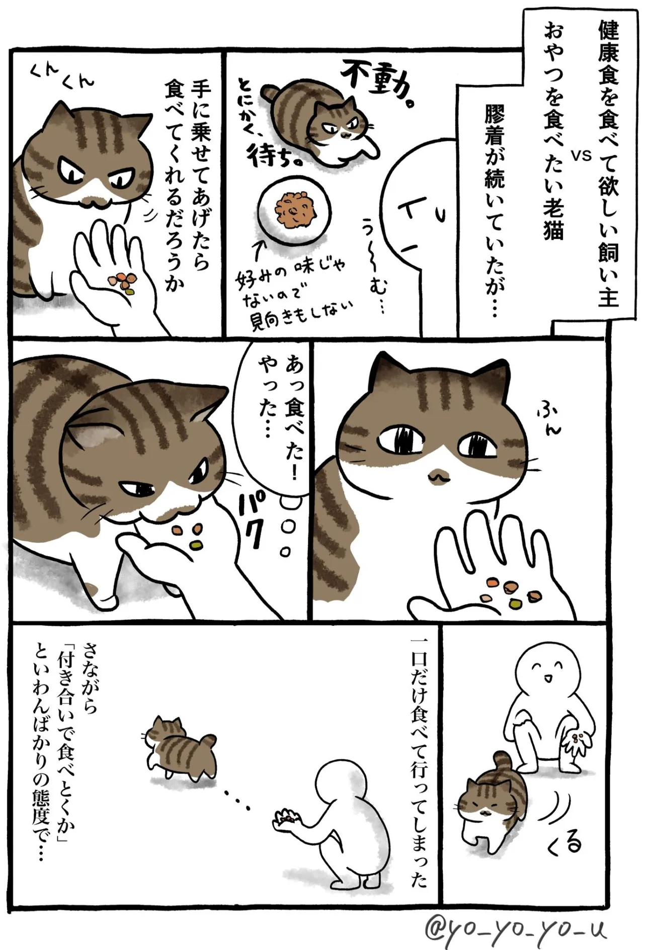 『健康食を食べさせたい飼い主 vs わがままなグルメ老猫』(1／4)