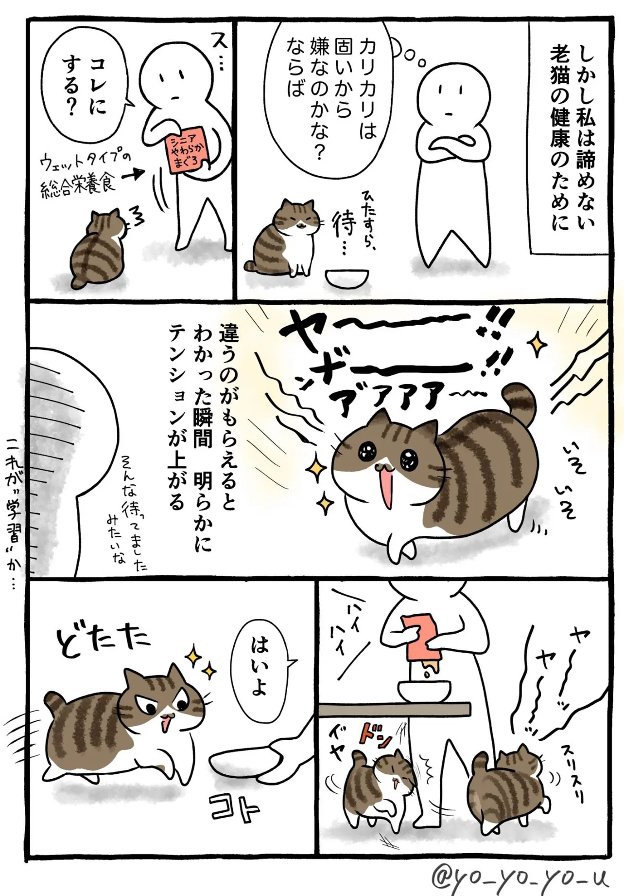 『健康食を食べさせたい飼い主 vs わがままなグルメ老猫』(2／4)