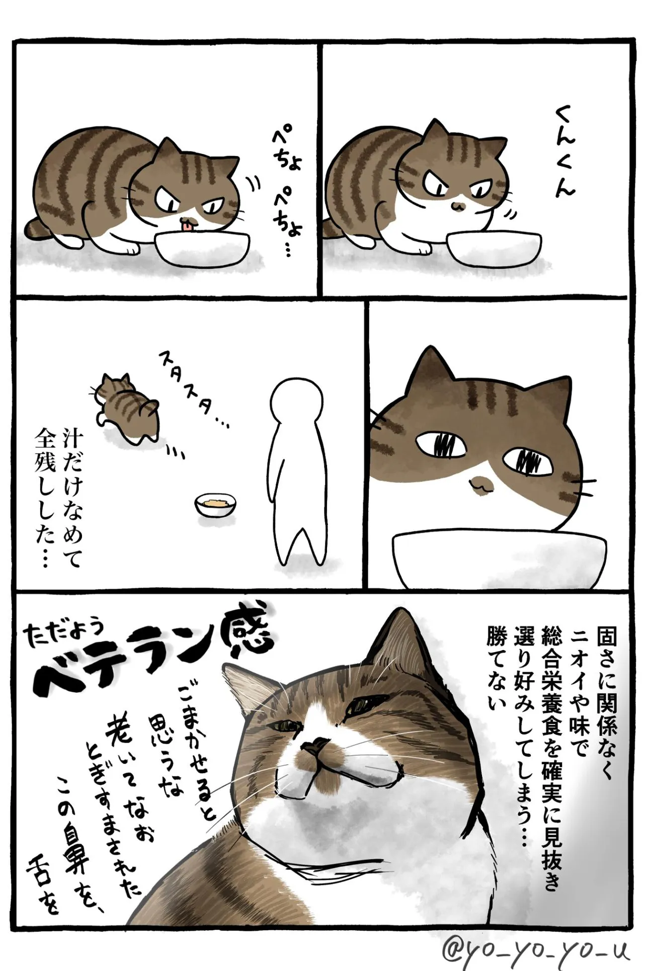 『健康食を食べさせたい飼い主 vs わがままなグルメ老猫』(3／4)