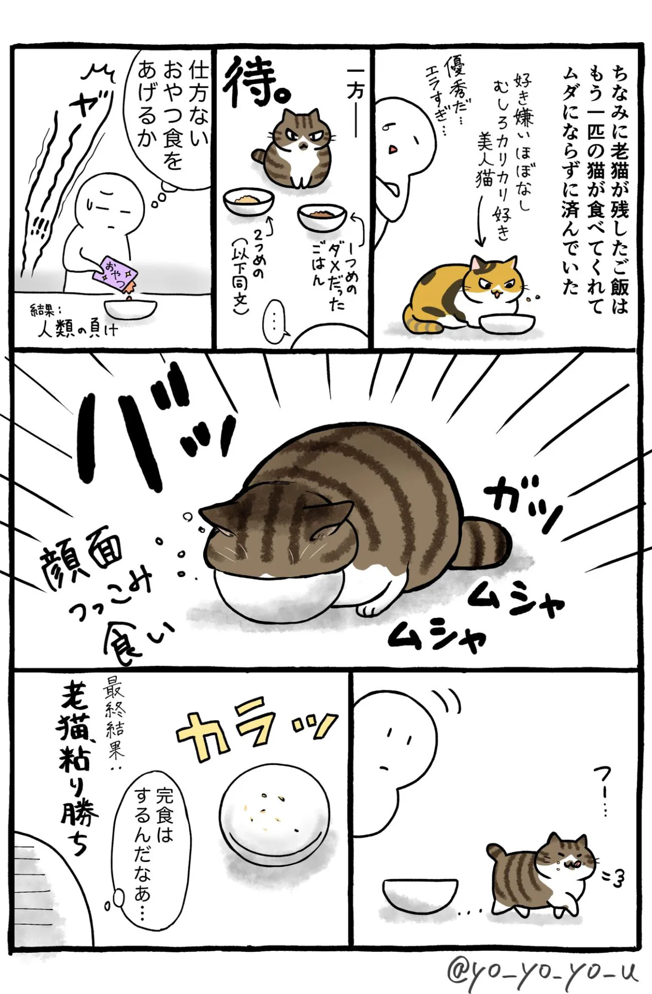 『健康食を食べさせたい飼い主 vs わがままなグルメ老猫』(4／4)