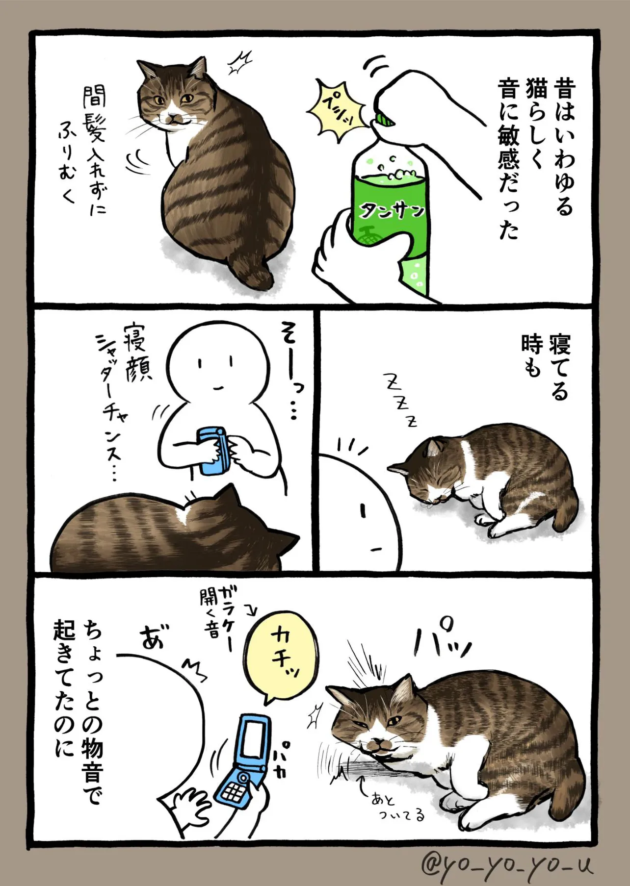 『猫が老いて思うこと』(2／3)