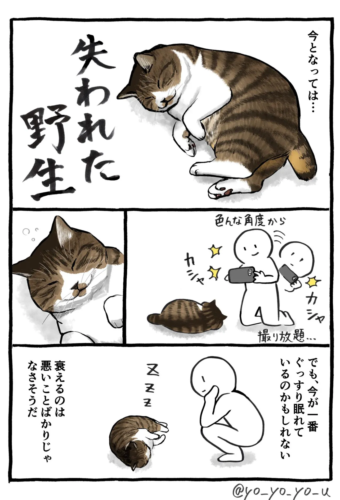 『猫が老いて思うこと』(3／3)