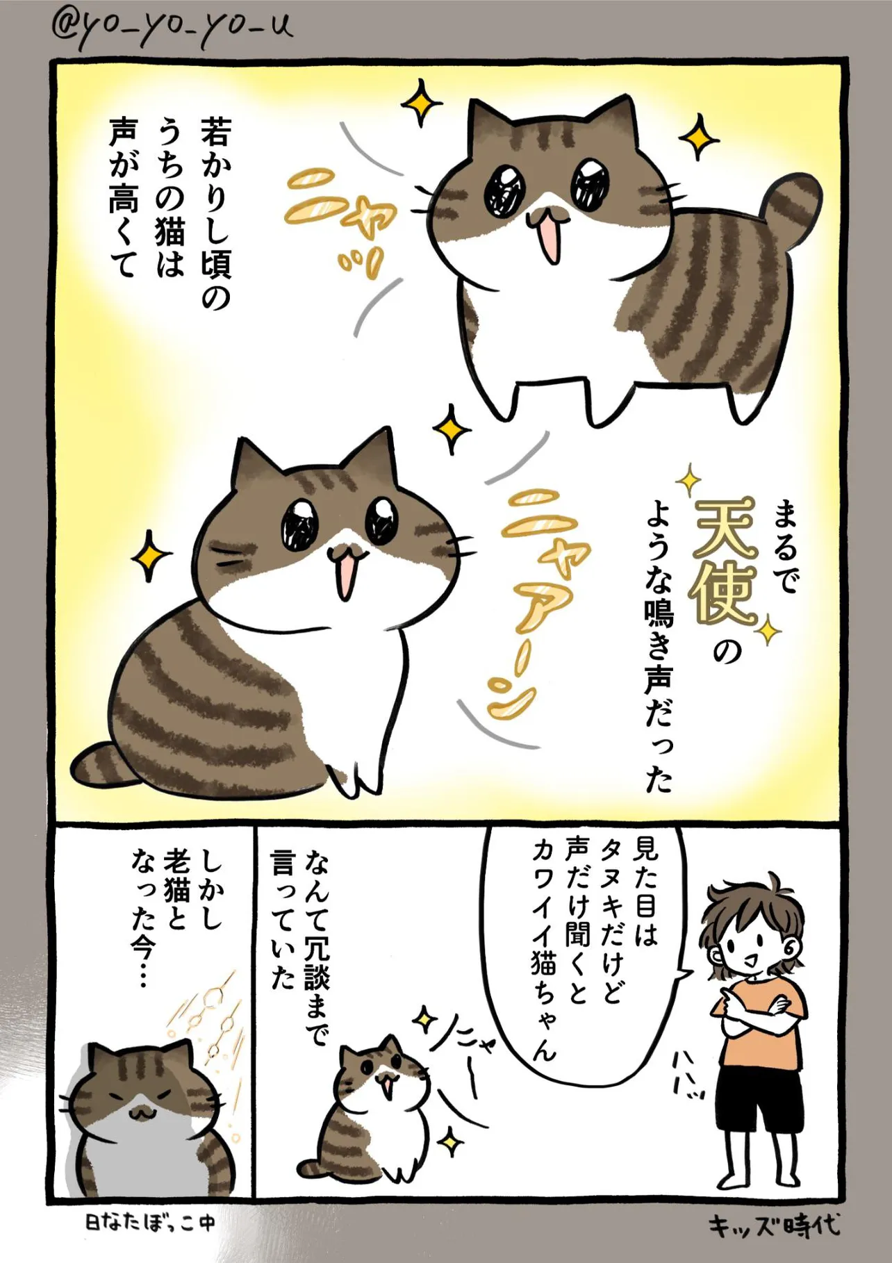 『猫も年取ると、しわがれ声になるんだなあと感じた話。』(1／)