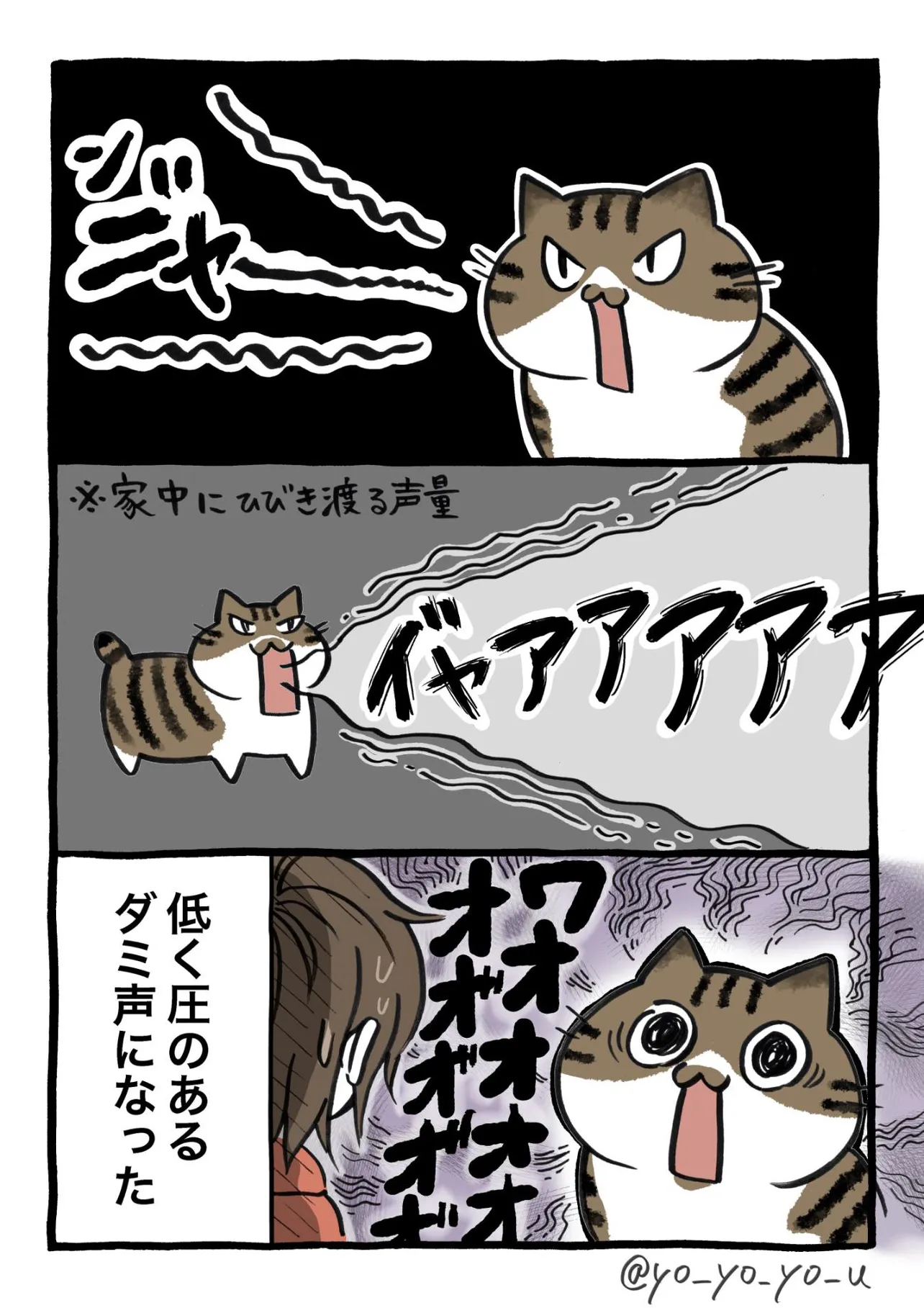 『猫も年取ると、しわがれ声になるんだなあと感じた話。』(2／4)