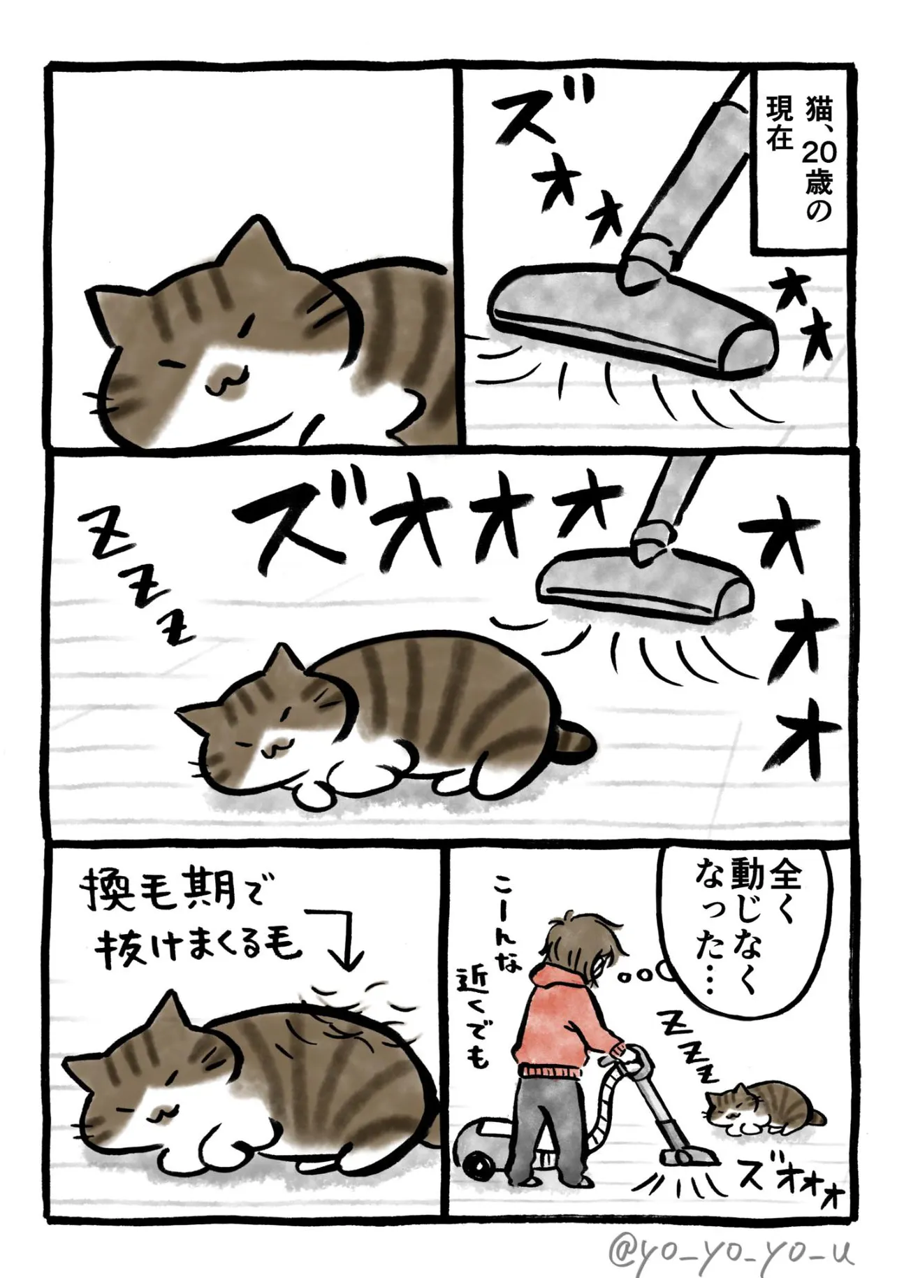 『老猫、掃除機を恐れなくなる』(2／3)