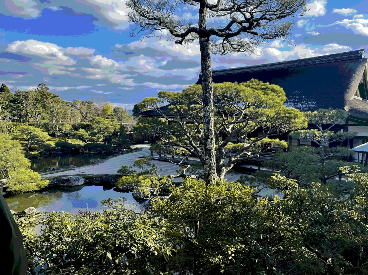 晴れた日の仁和寺の庭での一枚