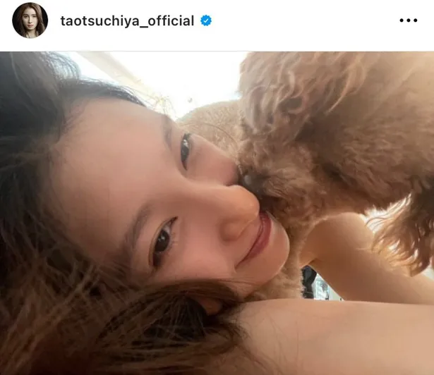 ※土屋太鳳公式Instagram(taotsuchiya_official)より