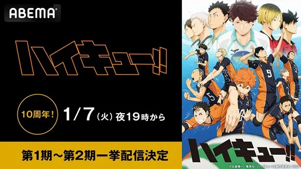 4週連続無料一挙放送が決定した「ハイキュー!!」