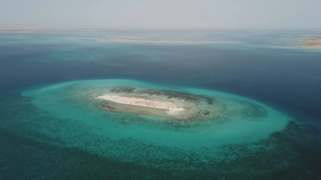 スーダンの世界遺産、ドゥンゴナブ湾