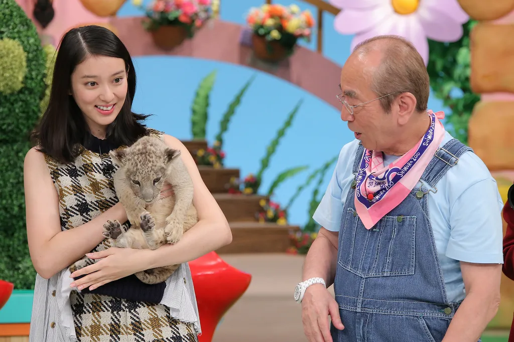 スタジオでは、ゲストの武井咲がかわいいトラの赤ちゃんを抱っこ！