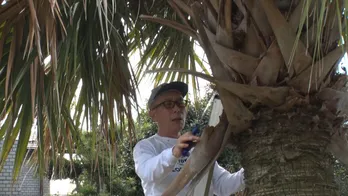 所ジョージ「本当に面倒くさい時があるんだよね！」どうにもやる気スイッチが入らないまったり回＜所さんの世田谷ベース＞