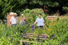 「黒谷友香、お庭つくります」レギュラー放送決定、“好きに出会う”をテーマにBS11が番組を改編