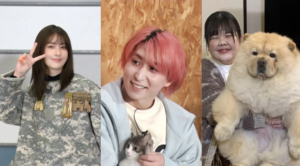 「わんにゃん観察バラエティアニマリング」より