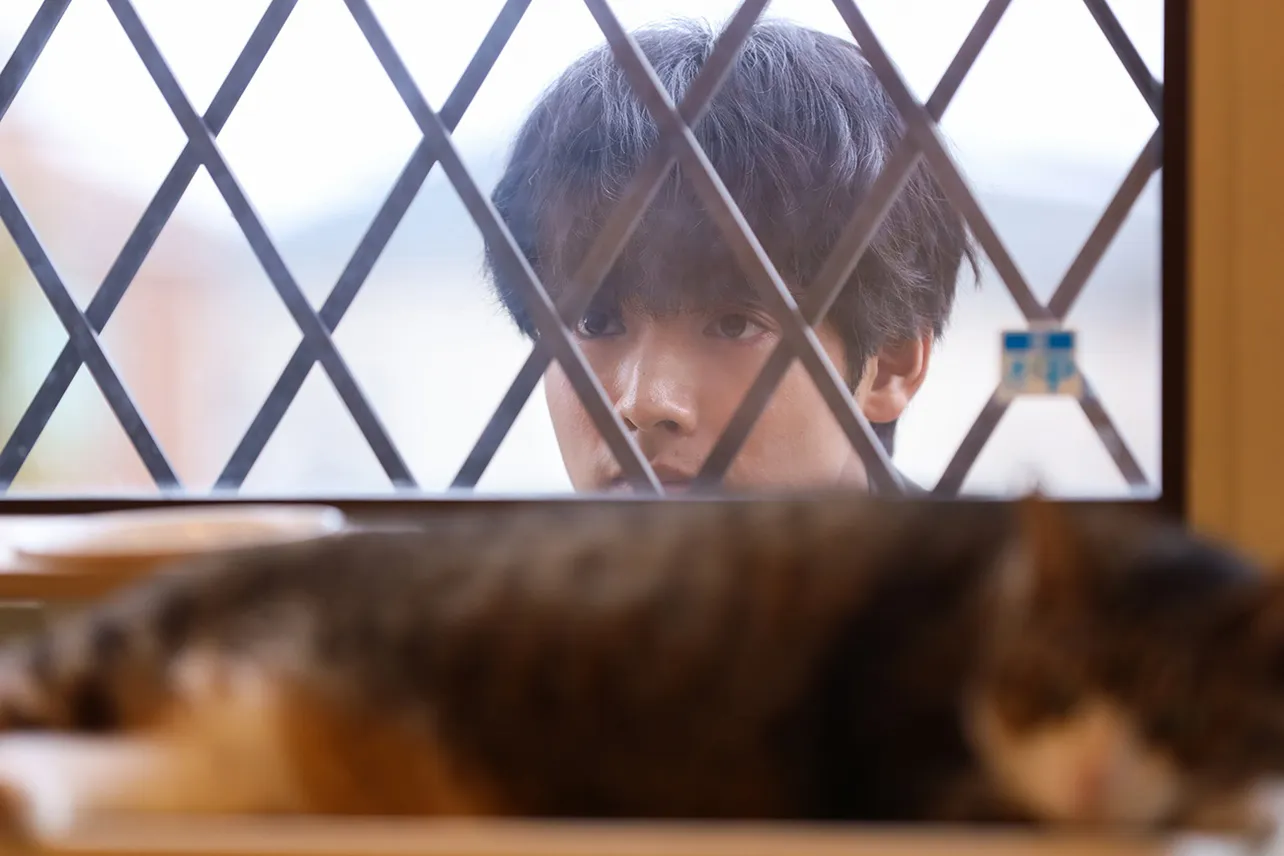 【写真】ネコがいる室内を覗く灰江(赤楚衛二)