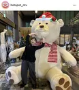 野呂佳代、サンタ帽の巨大シロクマのぬいぐるみとパシャリ