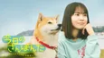 安田顕&新谷ゆづみW主演 ほのぼのお散歩コメディー「今日のさんぽんた」フジテレビにて放送決定