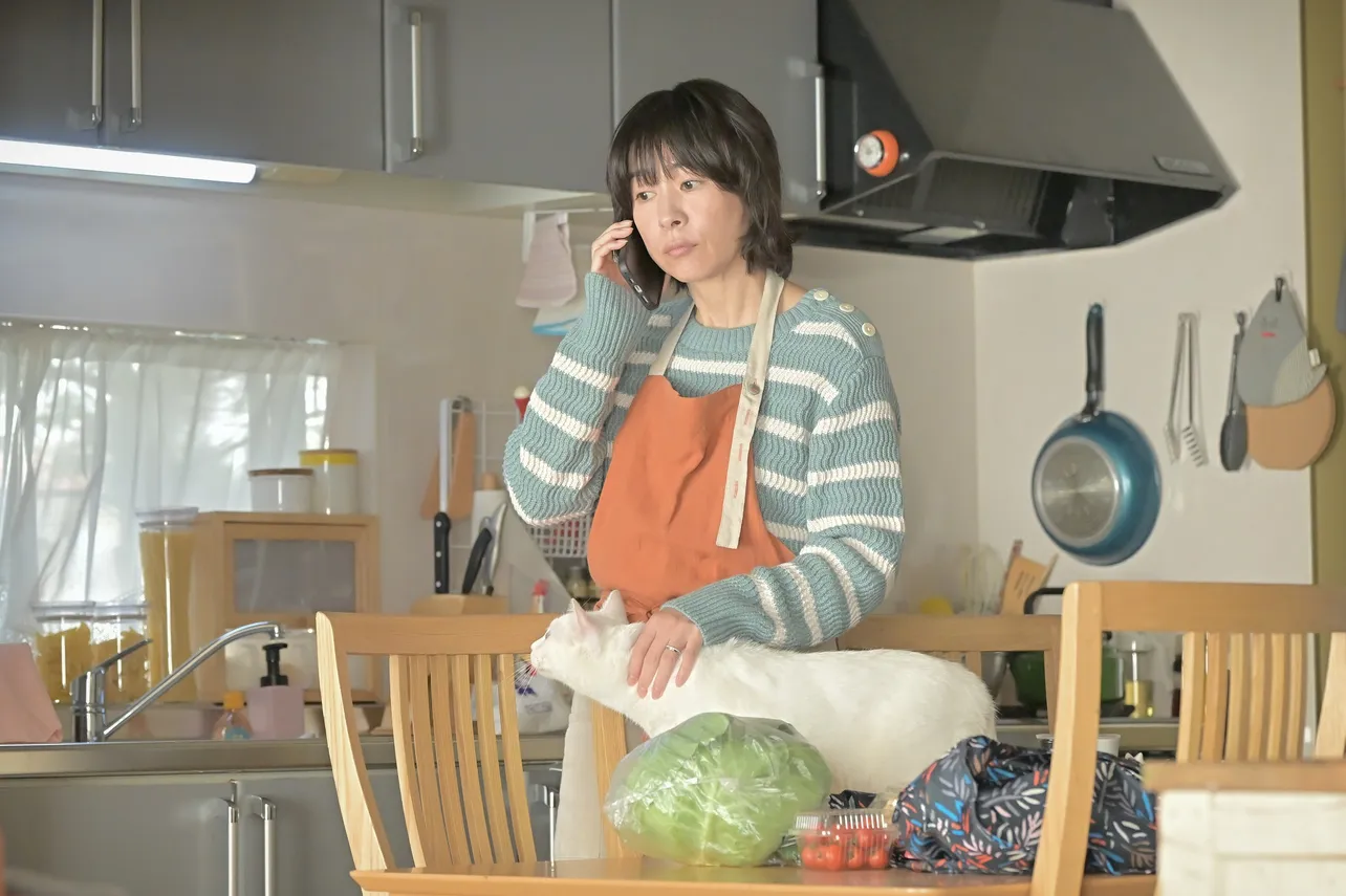 世話焼きで料理上手な京子(西田尚美)