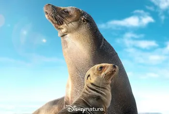 ジェームズ・キャメロン作品などがディズニープラスにて配信 グローバルキャンペーン「our HOME」特別映像も公開