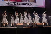 WHITE SCORPION