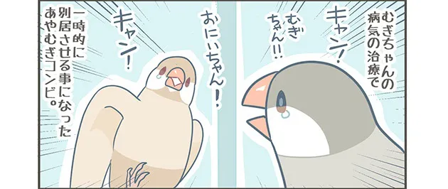 『声かけ』より
