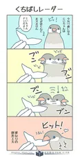 『くちばしレーダー』