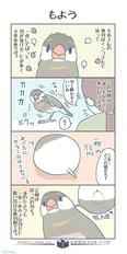 『もよう』