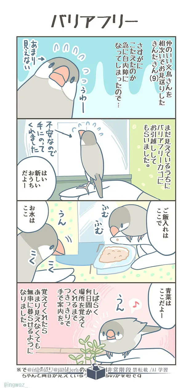 『バリアフリー』