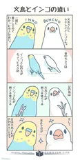 『文鳥とインコの違い』