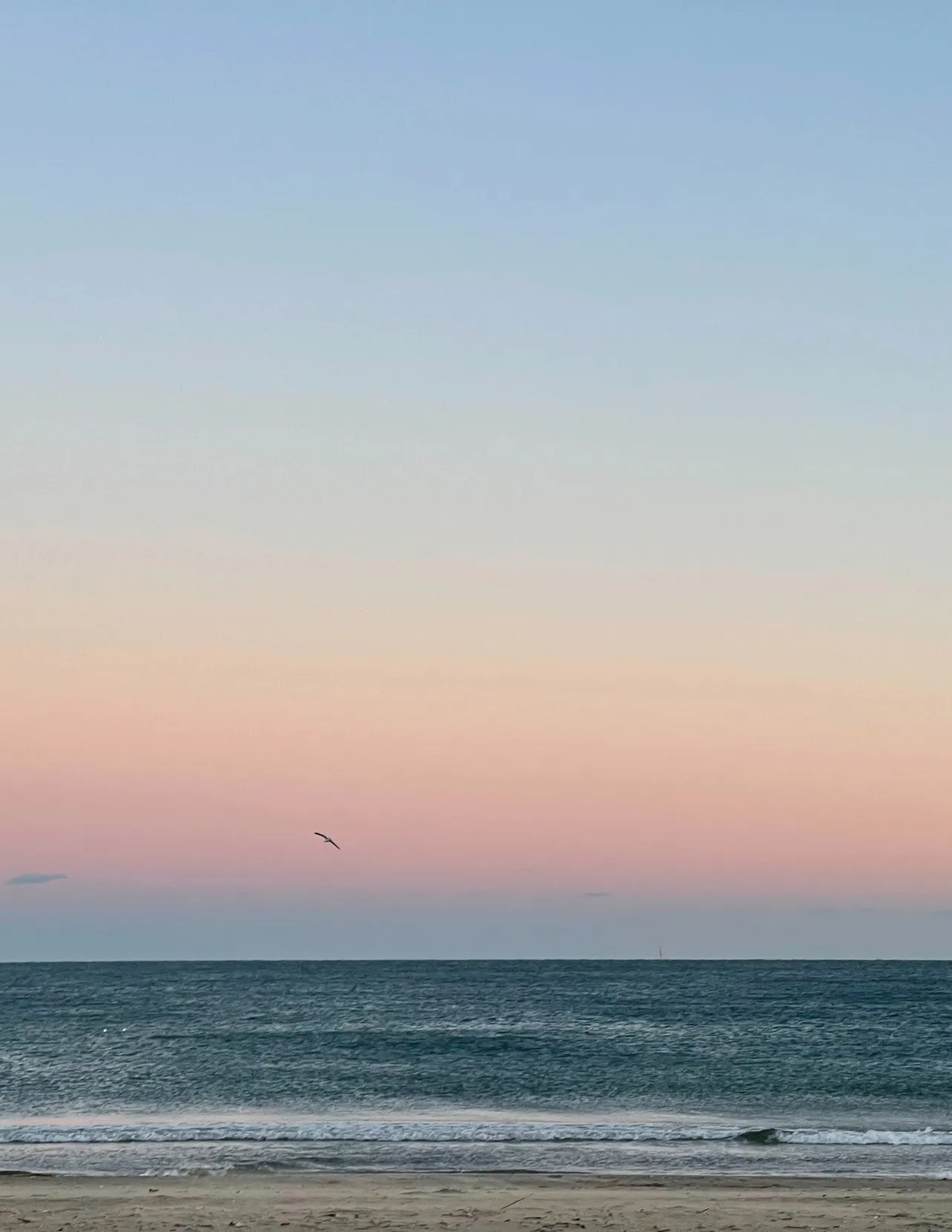 現地の風景。いるだけで穏やかな気持ちになれる海。