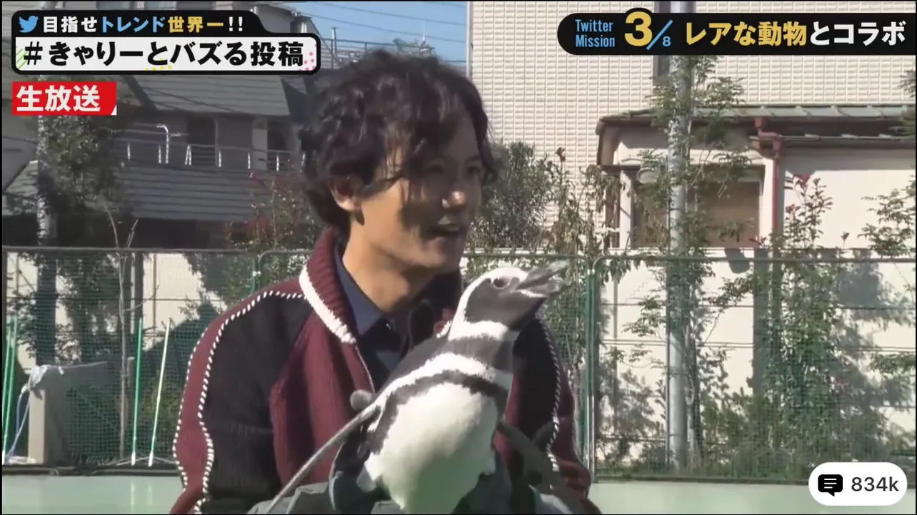 稲垣はペンギンとコラボ