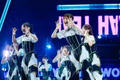 日向坂46 BRAND NEW LIVE 2025 「OVER THE RAINBOW」より