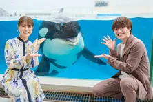 大橋和也、渋谷凪咲とは「2人になると僕が“ツッコミ”になるんです(笑)」 シャチショーのシーンでも息ぴったり<リベンジ・スパイ>