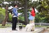 「初恋DOGs」第2話より