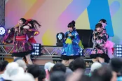 ファントムシータが「TIF2025」に出演