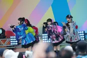  ファントムシータが「TIF2025」に出演