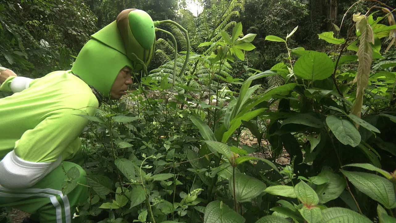 【写真を見る】珍しい昆虫探しに、夢中で草むらを見詰める香川照之