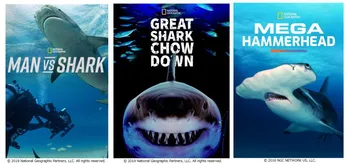 BS10が「ナショナル ジオグラフィック傑作選」で“サメ”特集　夏にぴったりの海中で撮影された刺激的な映像たち